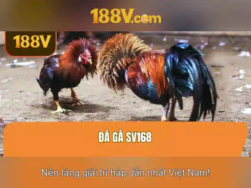 Giao-dien-ung-dung-188v