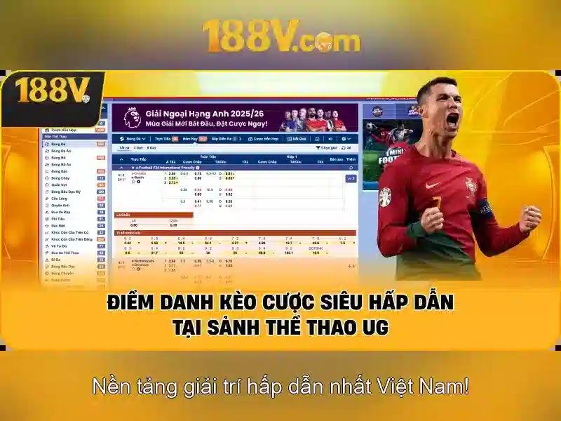 Biểu mẫu đăng ký thông tin đại lý 188v chi tiết